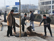 市城投集團(tuán)公司積極組織參加全市義務(wù)植樹活動(dòng)